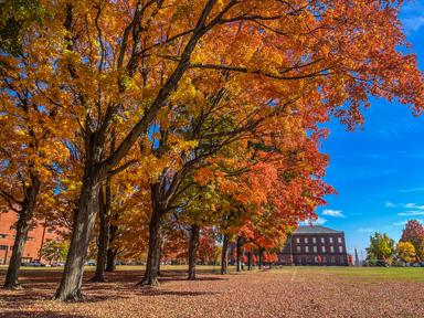 campus green in the fall